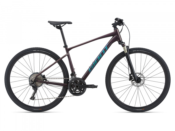 Велосипед GIANT Roam 0 Disc (2021)